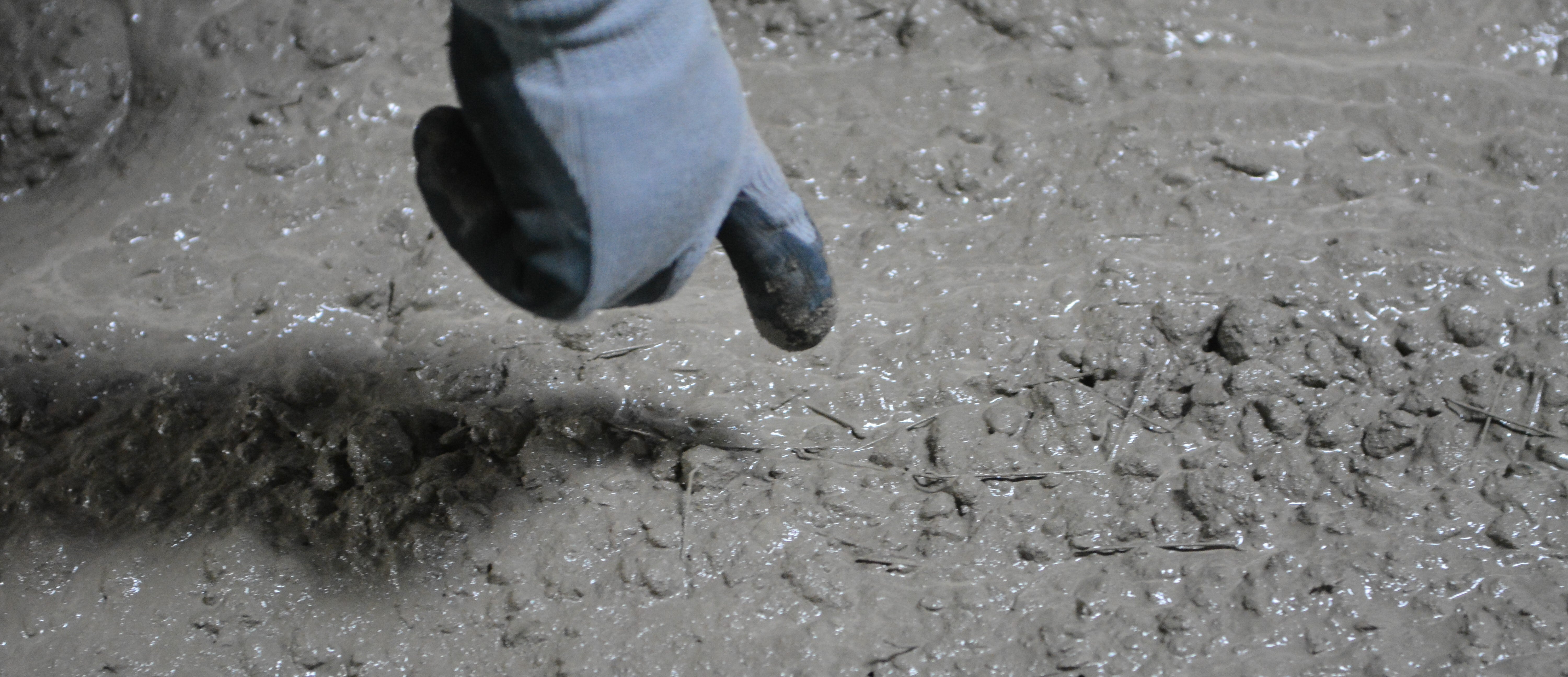 Eine Hand mit einem hellblauen Arbeitshandschuh berührt oder prüft die Oberfläche von frischem, feuchtem Beton. Die Betonmasse ist grobkörnig und glänzt leicht, einzelne Zuschlagstoffe und Fasern sind sichtbar. Die Szene vermittelt einen Moment der Qualitätskontrolle oder Materialprüfung auf einer Baustelle oder im Labor.

                                